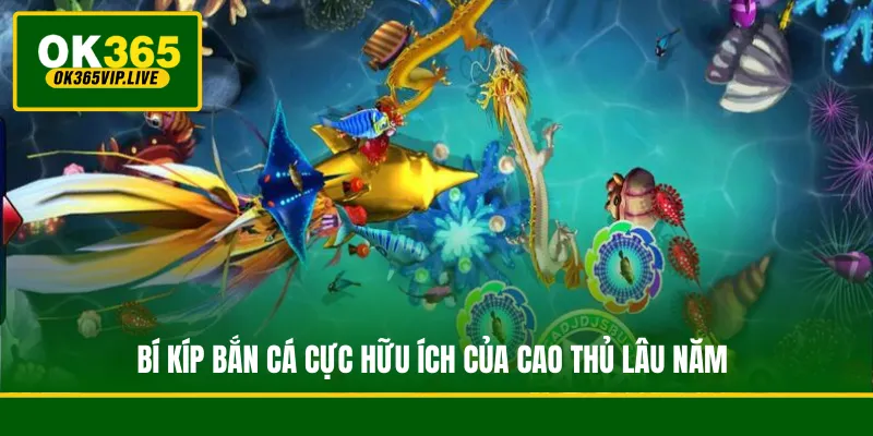 Bí Kíp Bắn Cá - Bật Mí Mẹo Hay Chinh Phục Thưởng Lớn 2 Bí kíp bắn cá cực hữu ích của cao thủ lâu năm