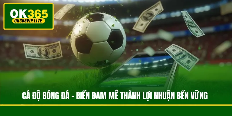 Cá Độ Bóng Đá - Biến Đam Mê Thành Lợi Nhuận Bền Vững 1 Cá Độ Bóng Đá - Biến Đam Mê Thành Lợi Nhuận Bền Vững