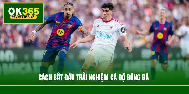 Cá Độ Bóng Đá - Biến Đam Mê Thành Lợi Nhuận Bền Vững 4 Cách bắt đầu trải nghiệm cá độ bóng đá