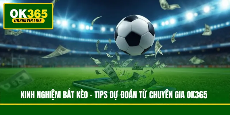 Kinh Nghiệm Bắt Kèo - Tips Dự Đoán Từ Chuyên Gia OK365 1 Kinh Nghiệm Bắt Kèo - Tips Dự Đoán Từ Chuyên Gia OK365