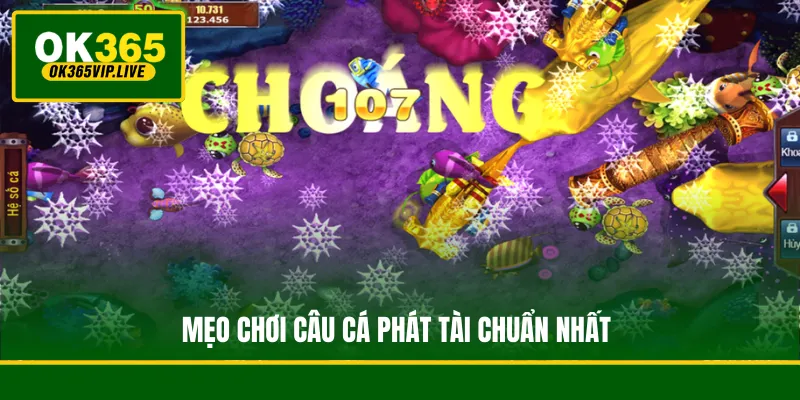 Câu Cá Phát Tài - Game Săn Thưởng Rước Tài Lộc Về Nhà 4 Mẹo chơi Câu Cá Phát Tài chuẩn nhất