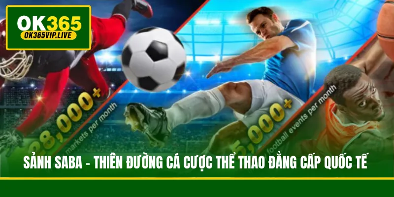 Sảnh SABA - Thiên Đường Cá Cược Thể Thao Đẳng Cấp Quốc Tế 1 Sảnh SABA - Thiên Đường Cá Cược Thể Thao Đẳng Cấp Quốc Tế