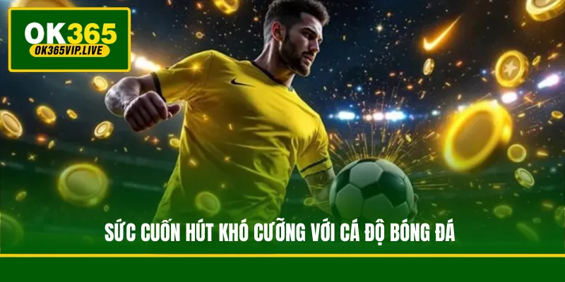 Cá Độ Bóng Đá - Biến Đam Mê Thành Lợi Nhuận Bền Vững 2 Sức cuốn hút khó cưỡng với cá độ bóng đá