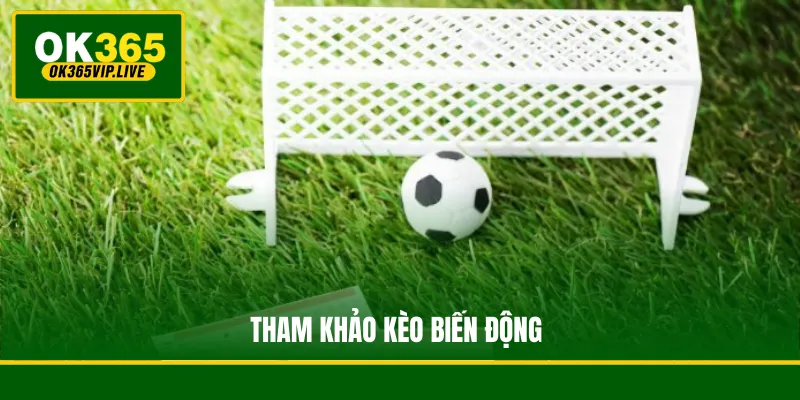 Kinh Nghiệm Bắt Kèo - Tips Dự Đoán Từ Chuyên Gia OK365 4 Tham khảo kèo biến động